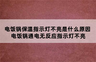 电饭锅保温指示灯不亮是什么原因 电饭锅通电无反应指示灯不亮